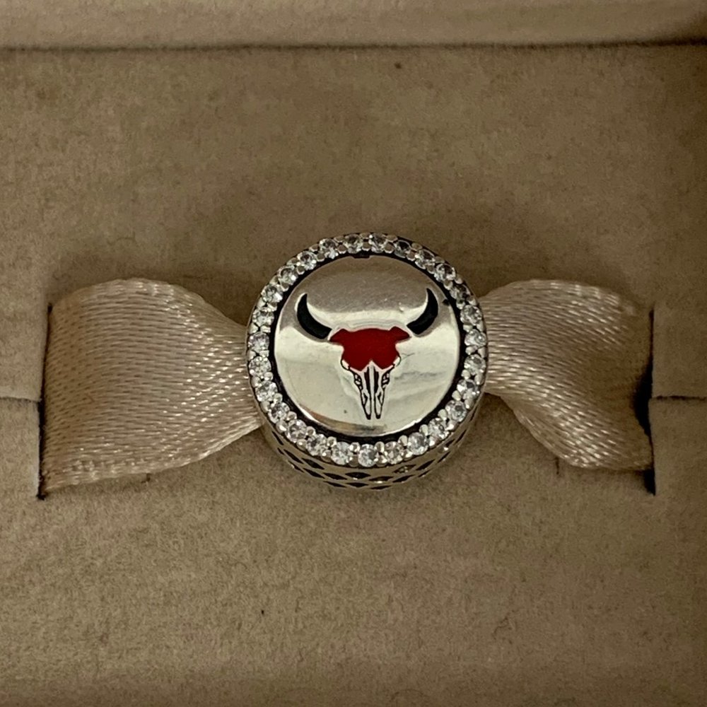 Pandora New Mexico exclusive charm